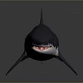 Realistic 3D Shark Model With Gray White Body And Dorsal Fin On Dark Background