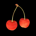 Two Fresh Red Cherries With Green Stems On Black Background