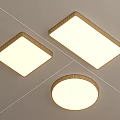 Modern Ceiling Lights Featuring Square Round Shapes and Golden Frames with White Surface 3d model