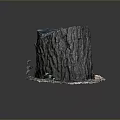 Natural Wooden Tree Stump with Stone Base Detailed Bark Texture and Small Green Plants