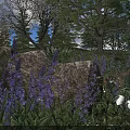 Beautiful Garden with Purple Flowers and White Flowers Surrounded by Stones Trees and Green Grass