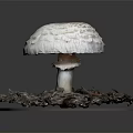 Modern mushroom straw mushroom poisonous mushroom 3d model