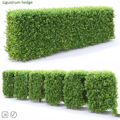 Garden Topiary Hedge Features With Neatly Trimmed Green Shapes For Outdoor Landscaping Design 3d model