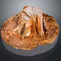 Natural Wooden Stump With Detailed Wood Grain And Stone Like Texture On Ground