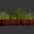 Assorted Green Plants in Red Ceramic Pots With Lush Fresh Leaves