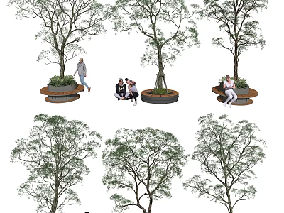 Tall Trees in Urban Public Space With Circular Seats and People Resting Walking Sitting 3d model