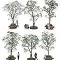 Tall Trees in Urban Public Space With Circular Seats and People Resting Walking Sitting