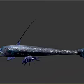 Unique Deep Sea Fish With Long Spike Sharp Teeth And Blue Body