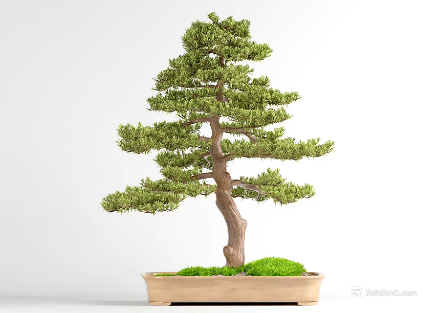 Decorative Bonsai Plant With Green Foliage Brown Trunk In Rectangular Pot And Moss 3d model 
