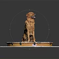 Golden Retriever Dog Sitting On Round Mat With Gear Patterns Against Black Background