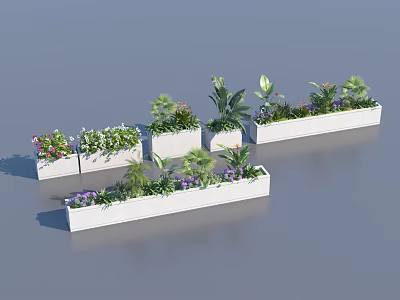 Outdoor Plant Combination In Rectangular Planters With Various Green Plants And Colorful Flowers 3d model