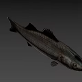 Game Movie Character Silver Fish With Realistic Design And Large Eyes