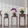 Potted Plants with White and Purple Orchids on Wooden Stands Against Geometric Pattern Wall