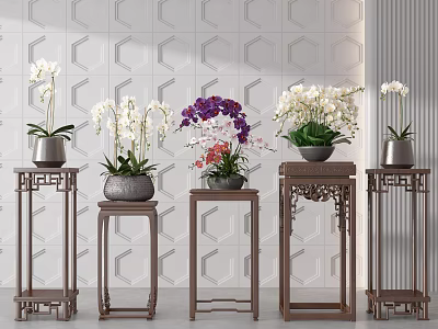 Potted Plants with White and Purple Orchids on Wooden Stands Against Geometric Pattern Wall 3d model
