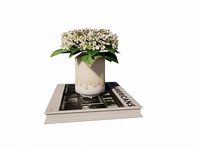 White Hydrangea Flowers In Ceramic Vase With Drip Design On Stacked Books 3d model