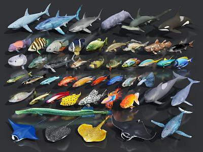 Collection of Various Aquatic Animals Including Sharks Tropical Fish Whales and Rays 3d model