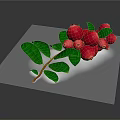 Fresh Plant Branch with Vibrant Red Berries and Lush Green Leaves