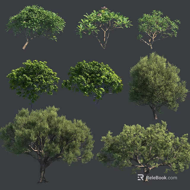 Various Types of Lush Green Trees with Diverse Foliage and Growth Forms 3d model 