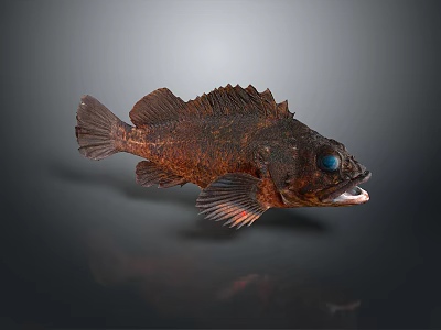 Brown Red Fish Shaped Home Decor With Blue Eyes And Spiky Details 3d model