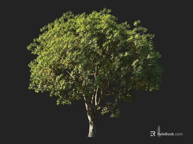 Lush Green Arbor With Dense Foliage Strong Trunk And Healthy Canopy 3d model 