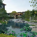 Tranquil Garden Landscape With Pond Lotus Leaves Stones Wooden Pavilion And Green Trees