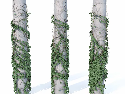 Lush Green Vines Wrapping Around Light Colored Tree Trunks With Fresh Leaves 3d model