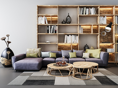 Nordic Multiplayer Sofa Bookcase Combination model