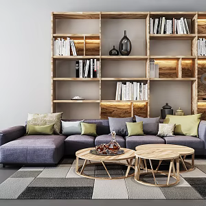 Nordic Multiplayer Sofa Bookcase Combination 3d model
