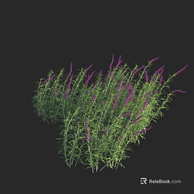 Decorative Flowering Shrub With Purple Flowers And Green Leaves In Garden 3d model 