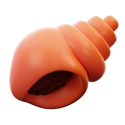 Modern Conch Marine Life Cartoon Conch 3d model