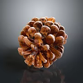 Pine cone plant game item 3d model