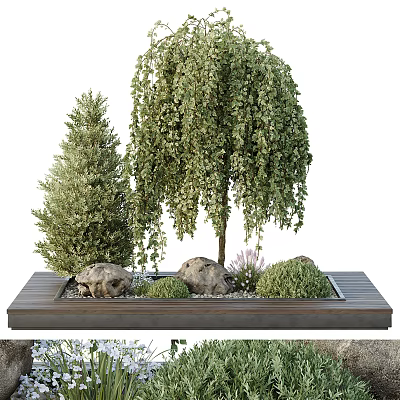 Bonsai Plants Featuring Weeping Willow Pine Tree Stones Small Green Shrubs On Wooden Tray 3d model