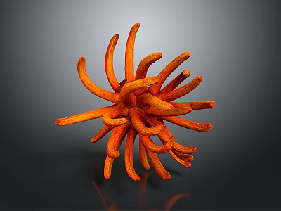 Vibrant Orange Coral Like Plant With Tentacle Shaped Structure On Dark Background 3d model