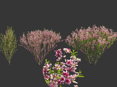 Fresh Edible Pink Flowers And Green Leaves From Plants For Food Garnish 3d model