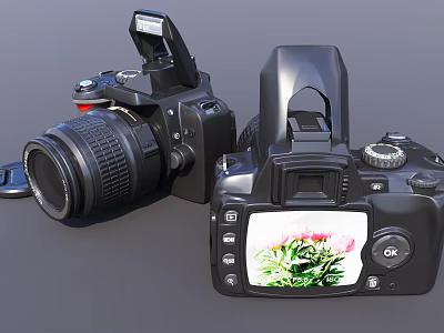 Digital SLR Cameras With Display And Flash Features 3d model Digital SLR Cameras With Display And Flash Features 3d model