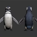 Two Penguins Standing in Front and Back Views on Dark Reflective Surface 3d model