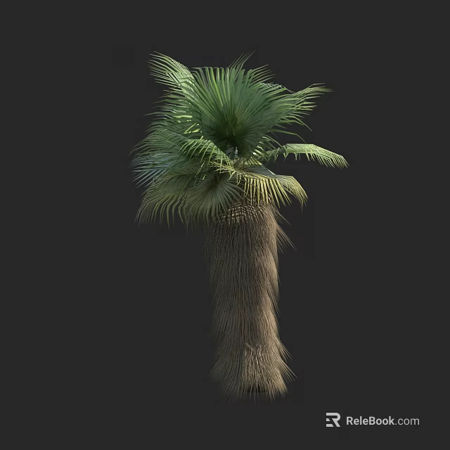 Tall Exotic Palm Arbor Featuring Lush Green Fronds And Textured Trunk 3d model 