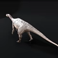 Grey Dinosaur 3D Model With Long Neck And Four Legs On Black Background 3d model