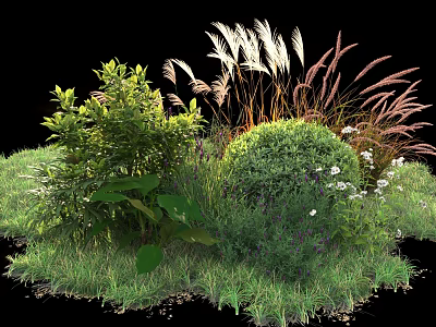 Ornamental Shrubs With Green Foliage White Flowers And Grass In Garden Landscape 3d model