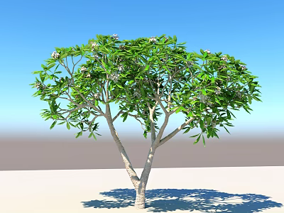Green Leafy Arbor With White Flowers And Forked Trunk Against Blue Sky On Light Ground 3d model