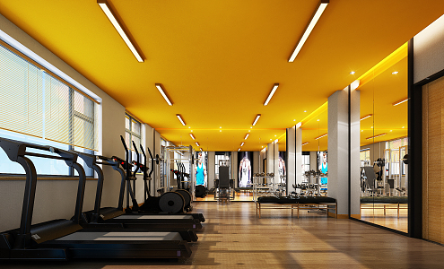 Modern Gym Hotel Gym Hotel Fitness Space Small Gym Fitness Equipment 3d model