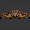 Aquatic Insect With Brown Body Distinct Wings Long Legs Shiny Appearance On Dark Gradient Background