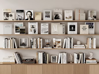Books and Magazines Neatly Arranged on Wooden Bookshelves with Various Covers and Decorative Items 3d model