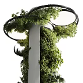 Hanging Basket Plants With Lush Green Foliage For Indoor Natural Home Decor Style