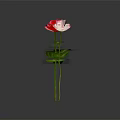 Three Pink Red and Light Pink Roses with Green Stems And Leaves on Dark Background