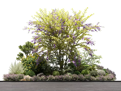 Ornamental Shrubs With Purple Flowers And Green Foliage In Garden 3d model