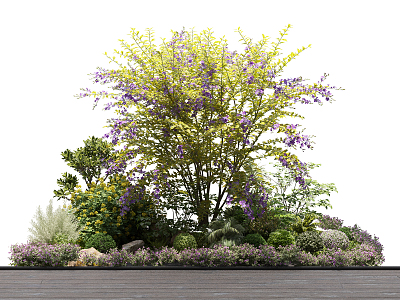 Modern shrub plant landscape cluster 3d model