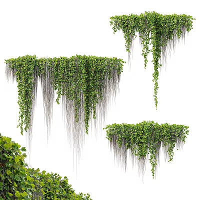 Lush Green Hanging Vines With Dense Leaves And Cascading Tendrils In Natural Growth 3d model