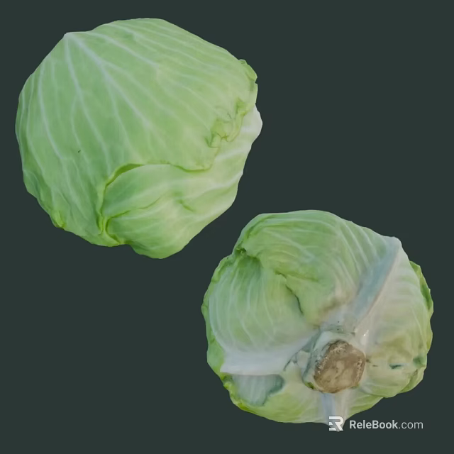 Two Fresh Green Whole Cabbage Vegetables On Dark Background With Natural Texture 3d model 