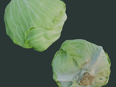 Two Fresh Green Whole Cabbage Vegetables On Dark Background With Natural Texture 3d model